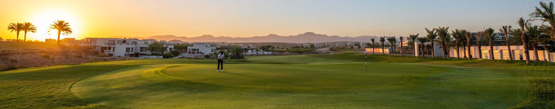 Image of golf ball on tee on grass.